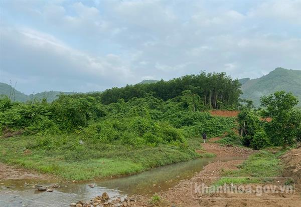  Hướng dẫn về giá để tính bồi thường, hỗ trợ các loại cây trồng trên đất khi nhà nước thu hồi đất. Ảnh minh họa.